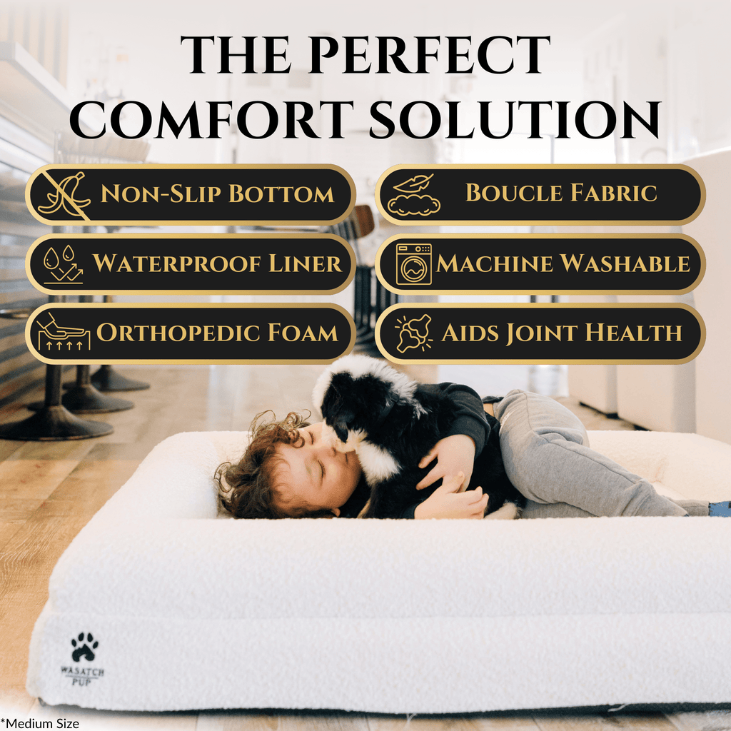 Orthopedic Comfort Bed