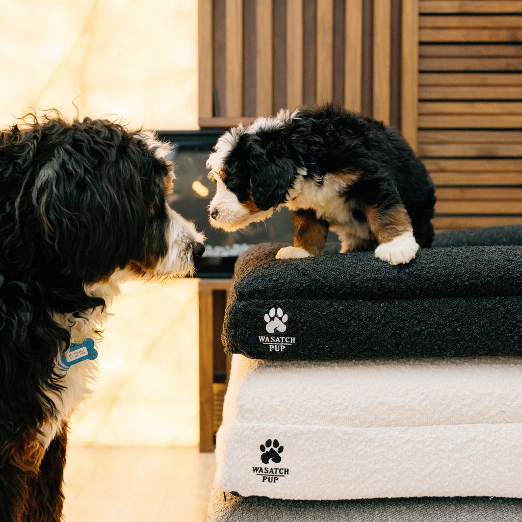 Orthopedic Comfort Bed