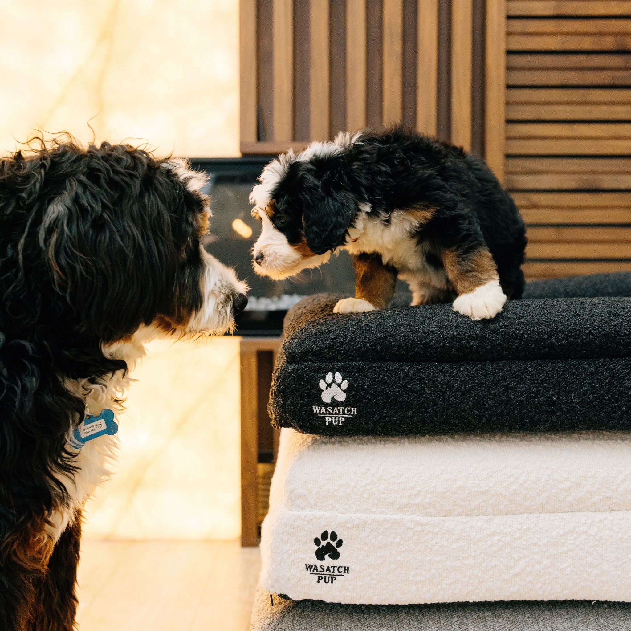 Orthopedic Comfort Bed