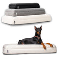 Orthopedic Comfort Bed