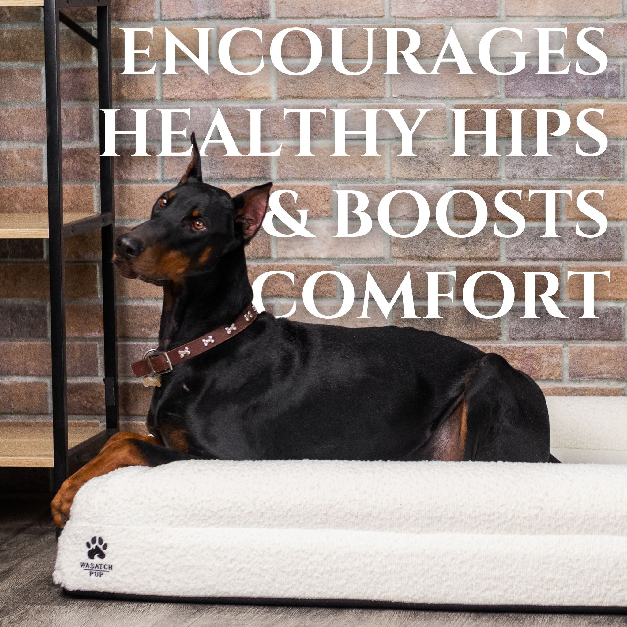 Orthopedic Comfort Bed