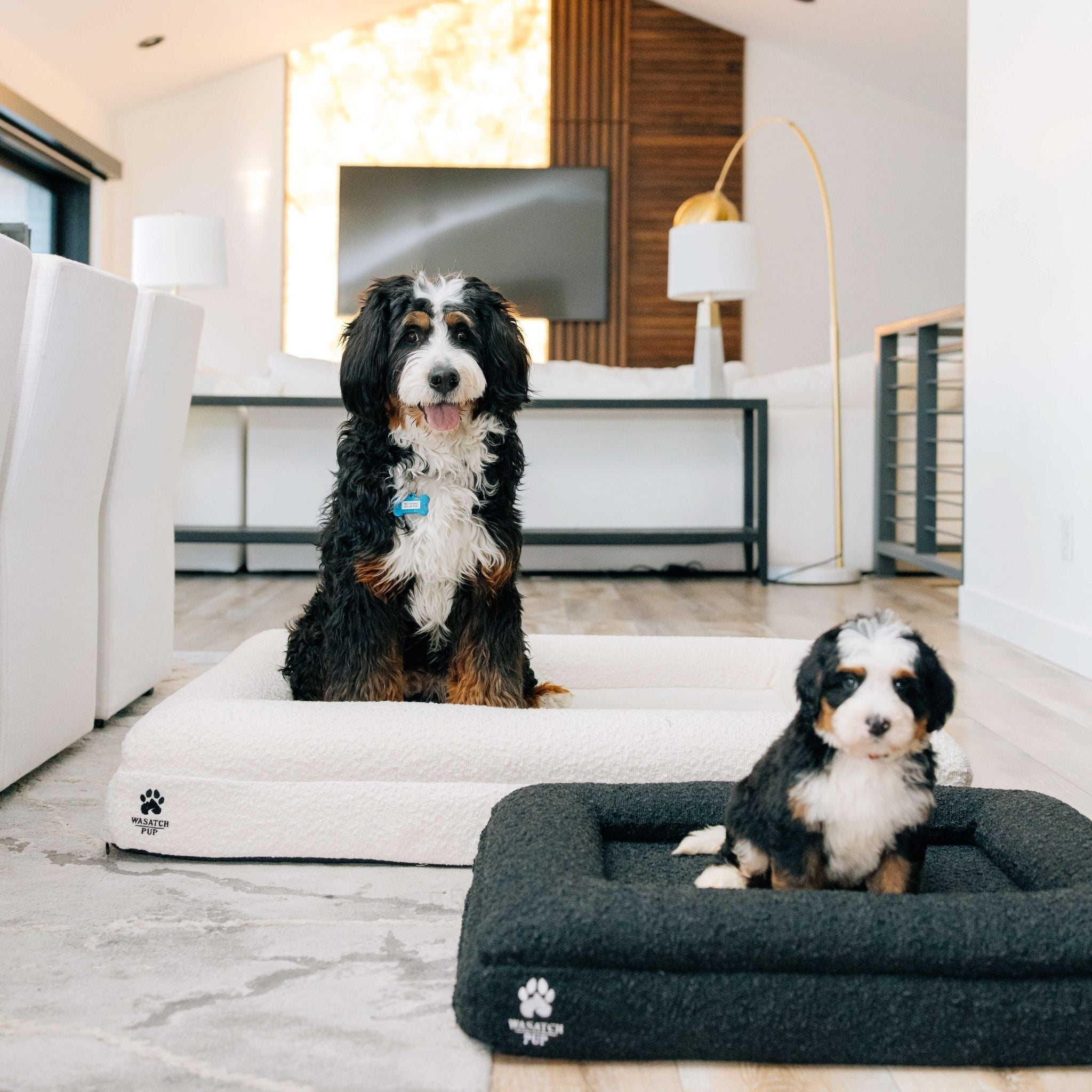 Orthopedic Comfort Bed